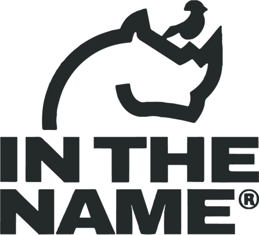 IN THE NAME